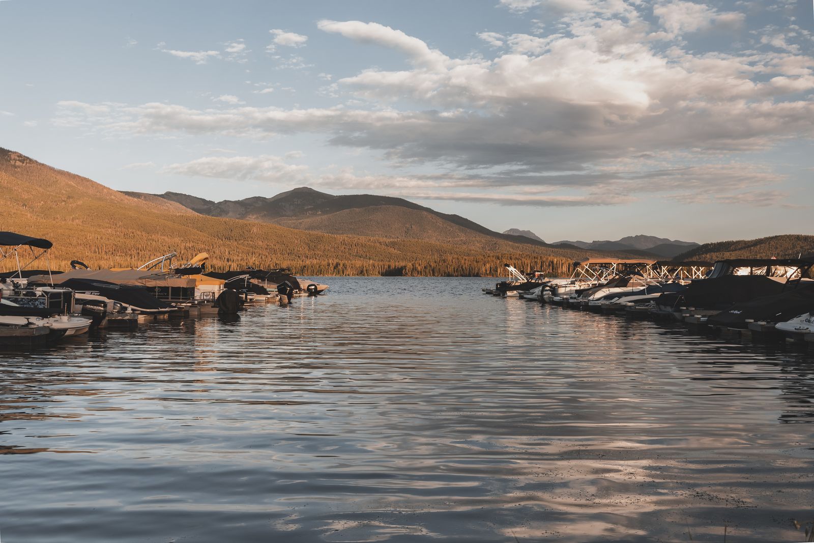 Pontoon boats at the dock at sunset