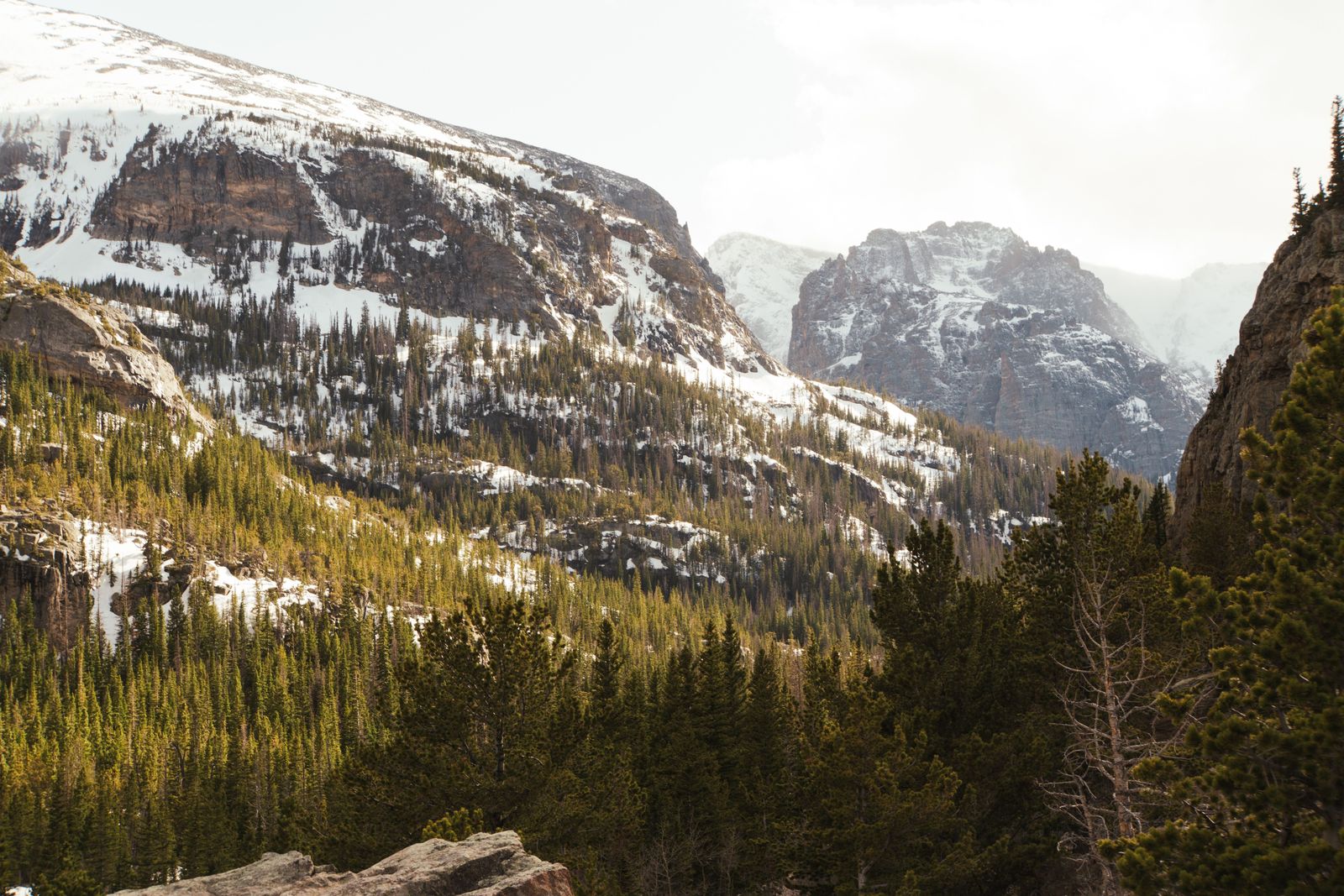 Snow-lined peaks above pine forest in Rocky Mountain National Park