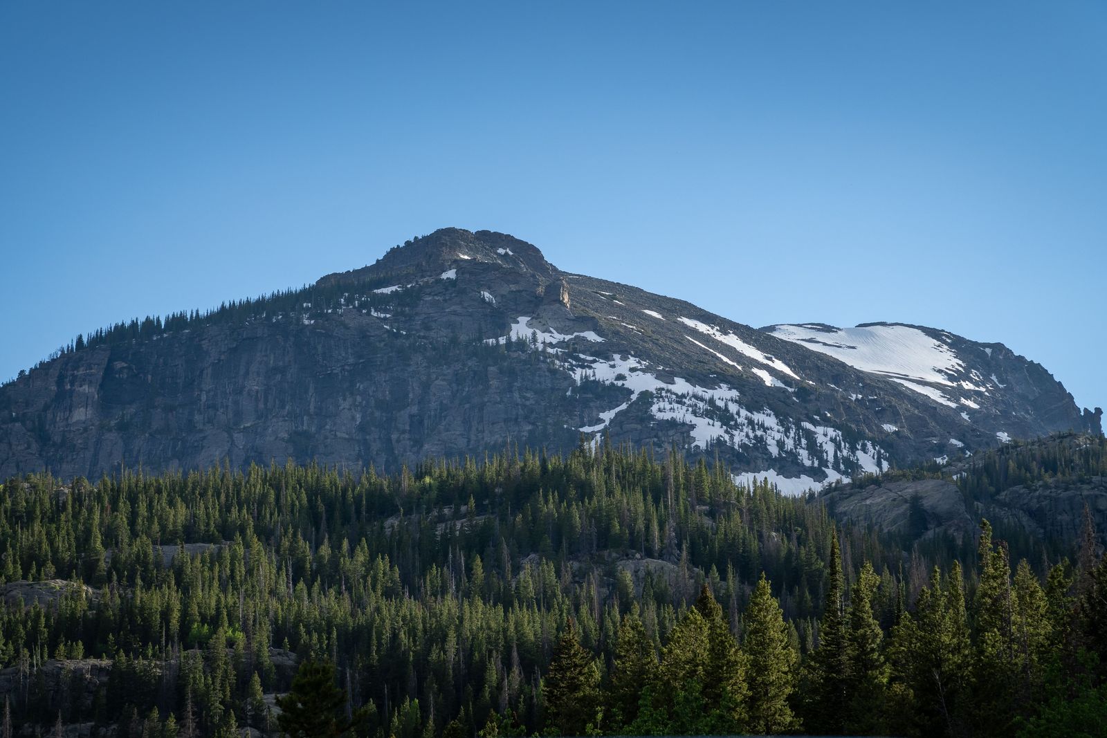 A rocky ridge and evergreen forest in the Colorado Rockies